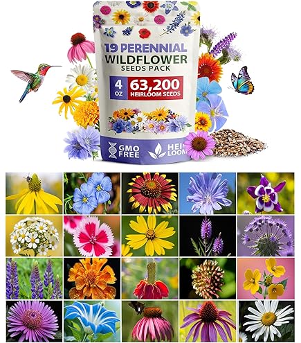 Amazon.com : Non GMO Bulk Northeast Wildflower Seed Mix (50 Lbs) : Patio,  Lawn & Garden