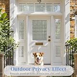 Lifetree Window Film Privacy Frosted Stripe 75x300cm Static Cling UV Protection view 5