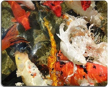 Luxlady Gaming Tapis De Souris D Image Biberon Poisson Carpe Koi Poissons Avec Bebe Bouteille De Lait En Thailande Amazon Fr Fournitures De Bureau