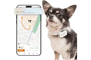Pawfit Lite for Small Dogs 4g GPS Tracker | Real Time Tracking | Activity Monitoring |Location History | Unlimited Range | Charcoal Grey