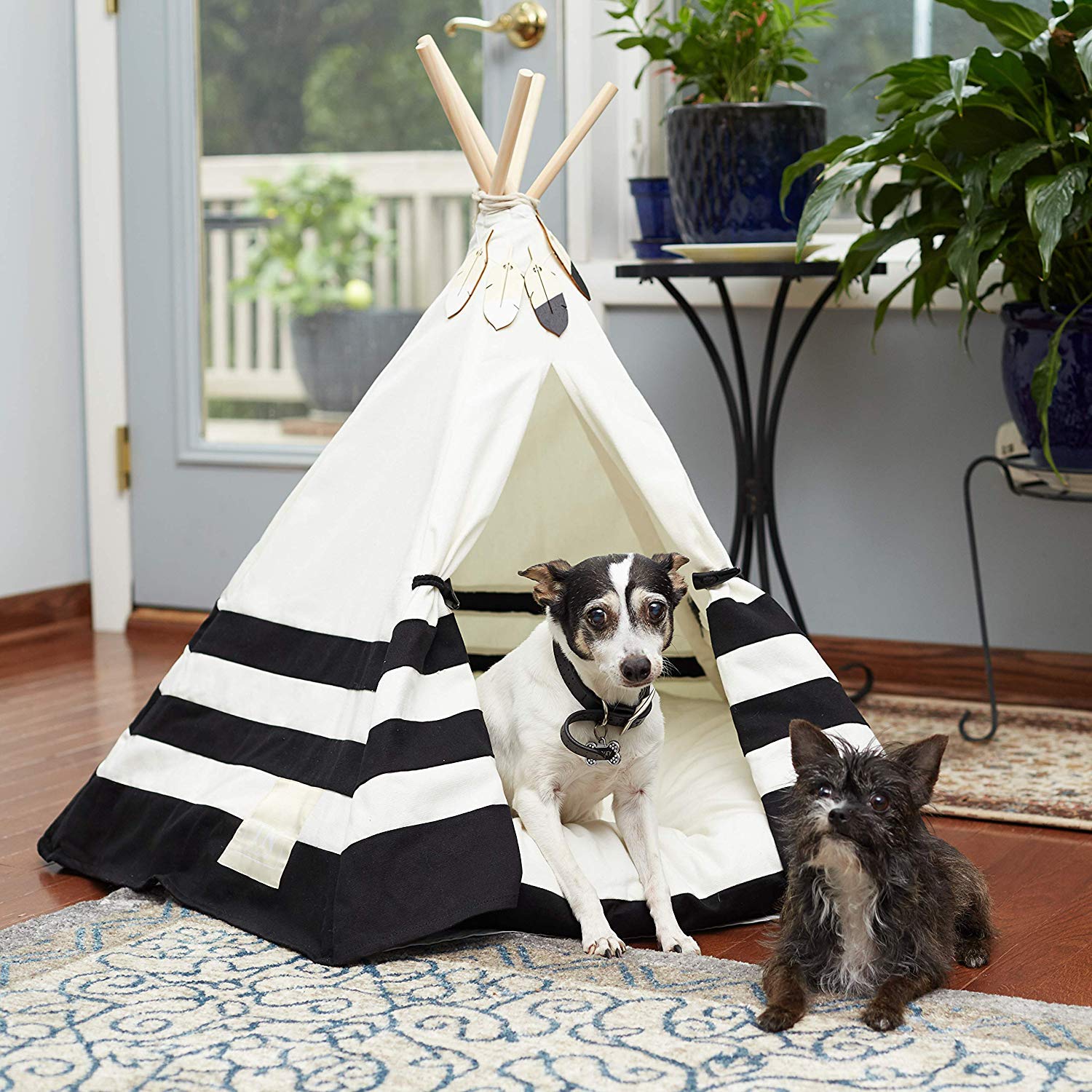 tent pet bed