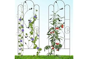 Gray Bunny Garden Trellis for Climbing Plants Outdoor - 2 Pack - 60" x 24" Cucumber Trellis, Rust Proof Metal Trellis for Vegetables, Vines, Flowers - Birds Design