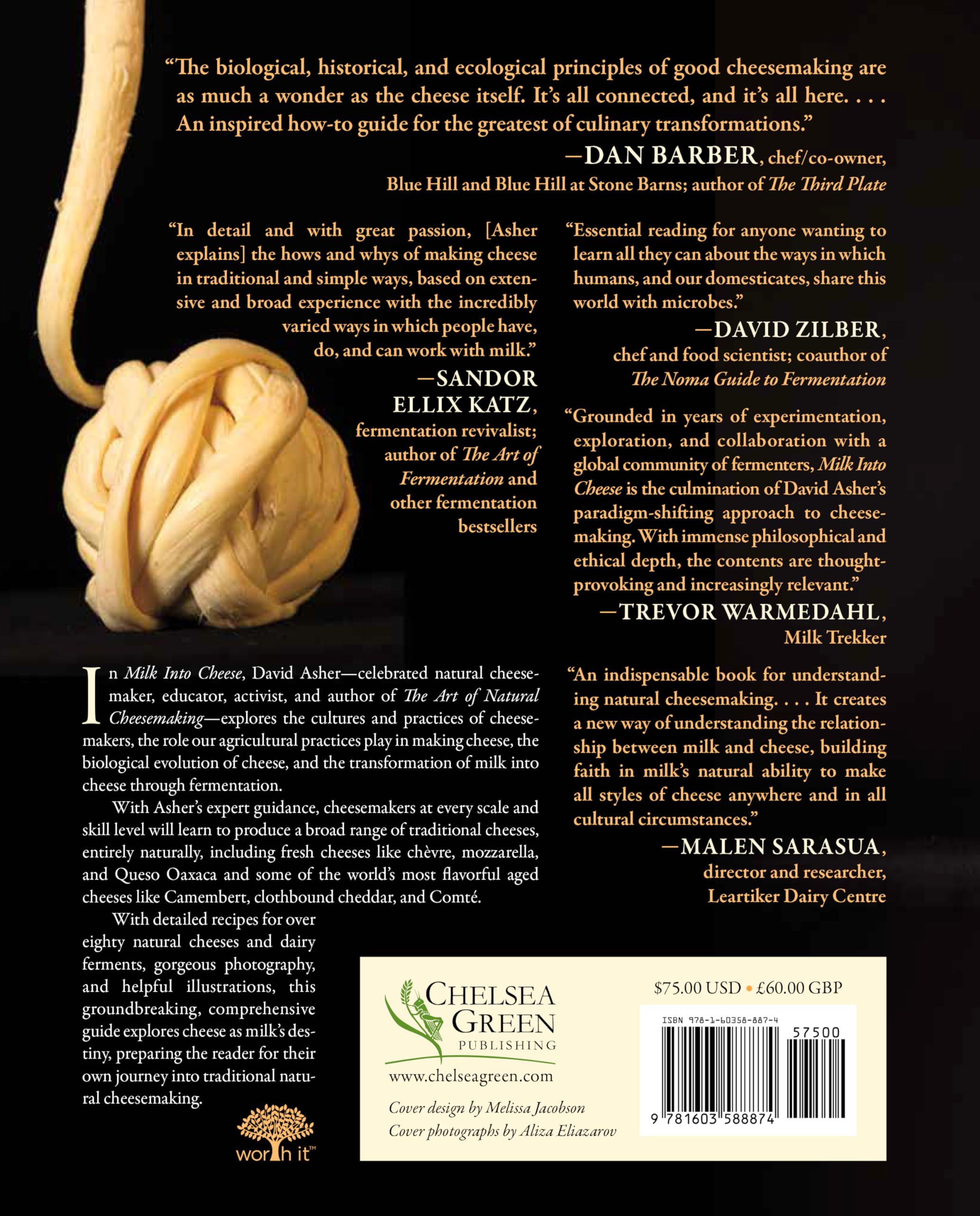 Milk Into Cheese: The Foundations of Natural Cheesemaking Using Traditional Concepts, Tools, and Techniques