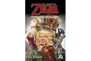The Legend of Zelda: Twilight Princess, Vol. 10 (10)