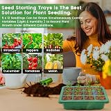 MQFORU Seed Trays with Grow Light 60 Cells 5-Pack Propagator Kit view 6