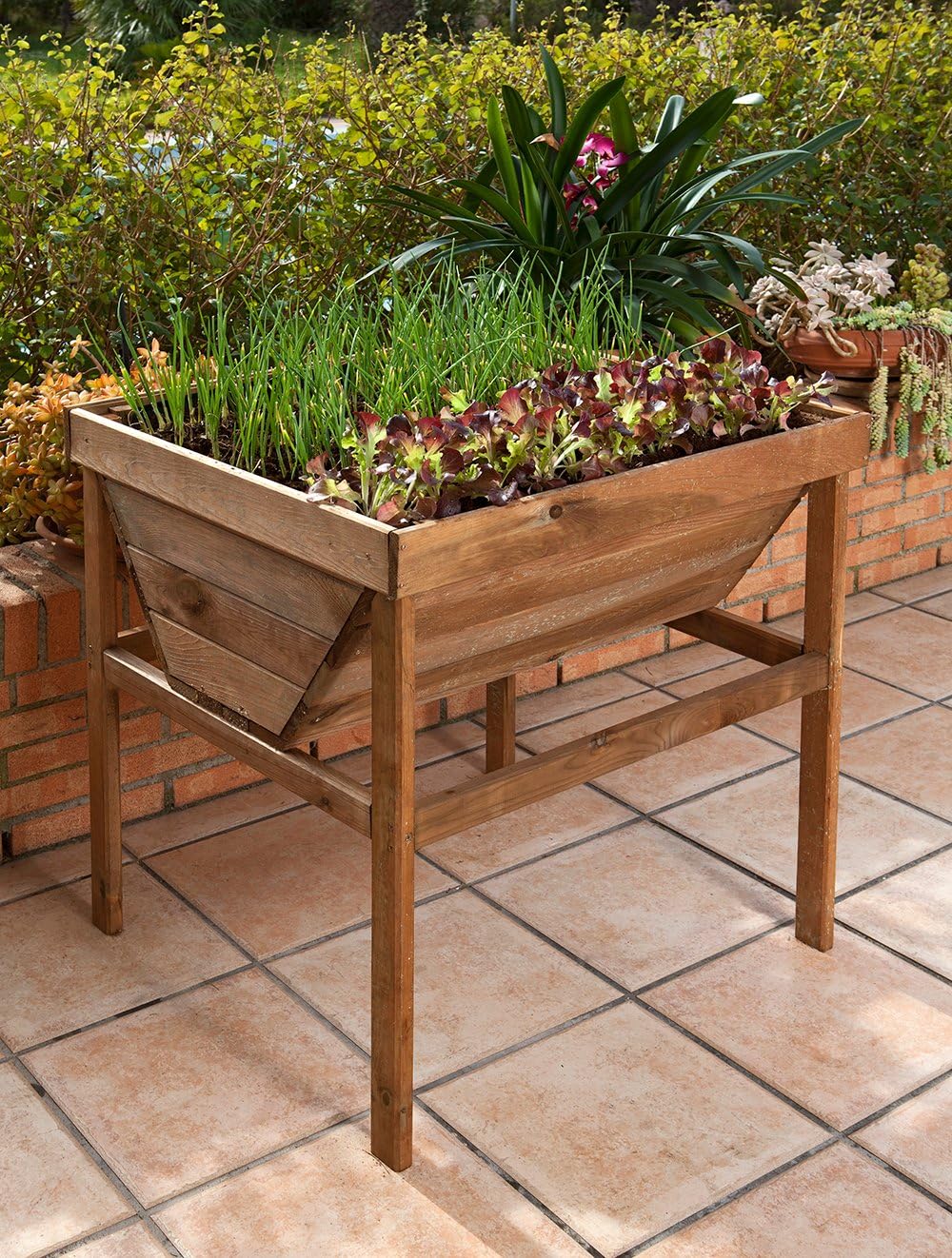 Catral 75020002 - Huerto urbano Germin 70, 78 x 75 x 70 cm (altura ...