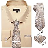 DiBanGu Mens Long Sleeve Dress Shirt and Tie Set Casual Botton Down Shirts for Men Solid Business Shirt with Matching Tie