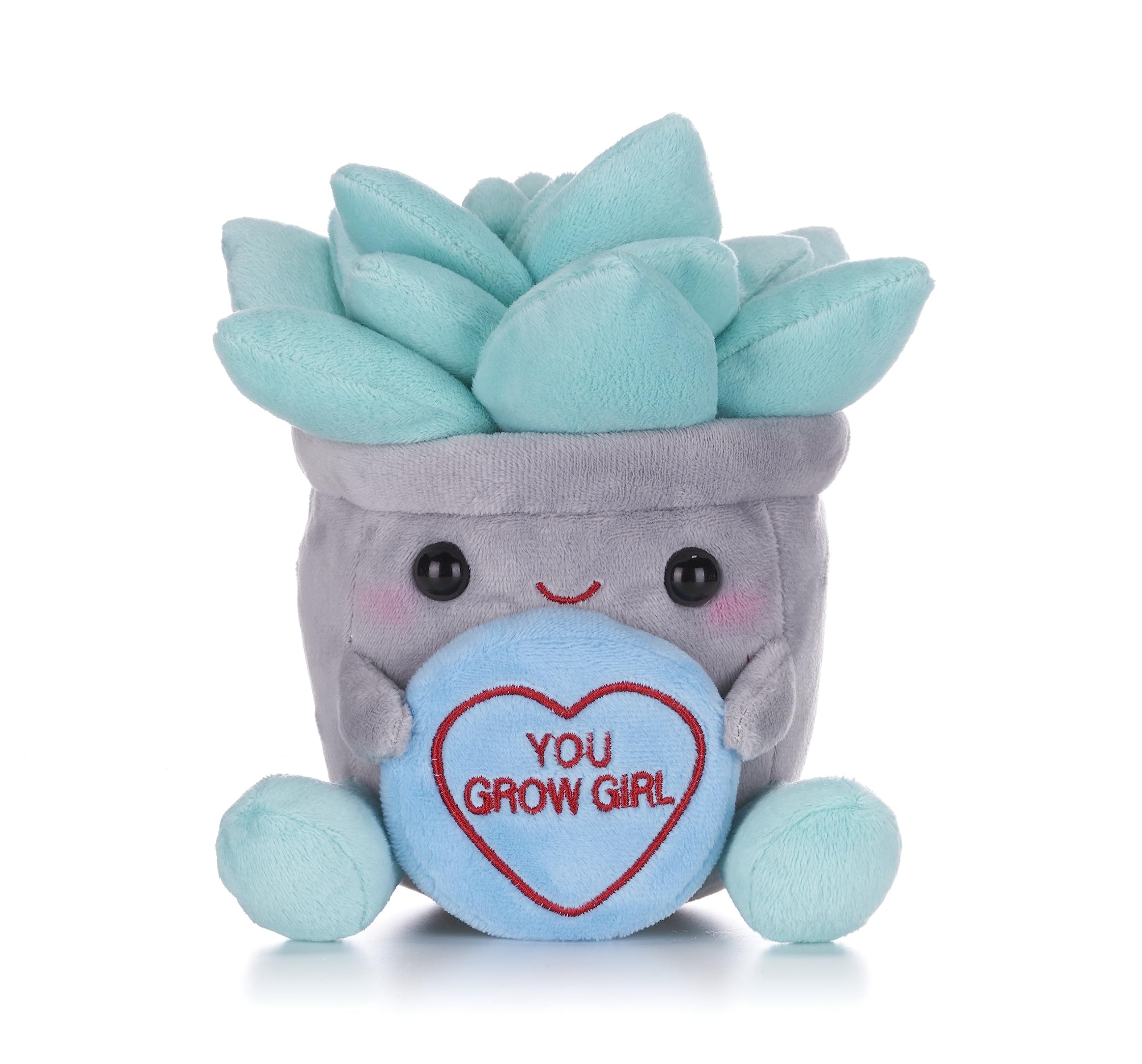 Swizzels Love Hearts 7" (18cm) "You Grow Girl" Succulent Flowerpot Plant Plush Soft Toy