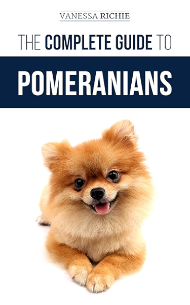 i want to buy pomeranian dog