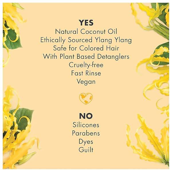 LOVE BEAUTY AND PLANET HOPE AND HAIR REPAIR STRENGTHENING CONDITIONER HAIR REPAIR TREATMENT FOR SPLIT ENDS COCONUT OIL & YLANG YLANG PARABEN-FREE, SILICON-FREE AND VEGAN HAIR CARE 13.5 OZ