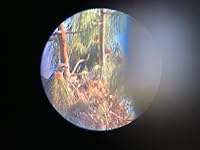 Review Image by Francie Francie