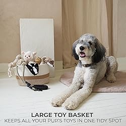 Stylish Cotton Rope Storage Basket For Dog
