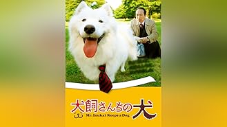 amazon co jp サイドカーに犬を観る prime video
