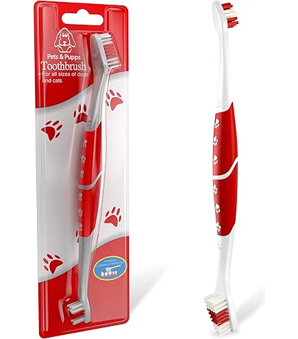 best electric toothbrush for dogs