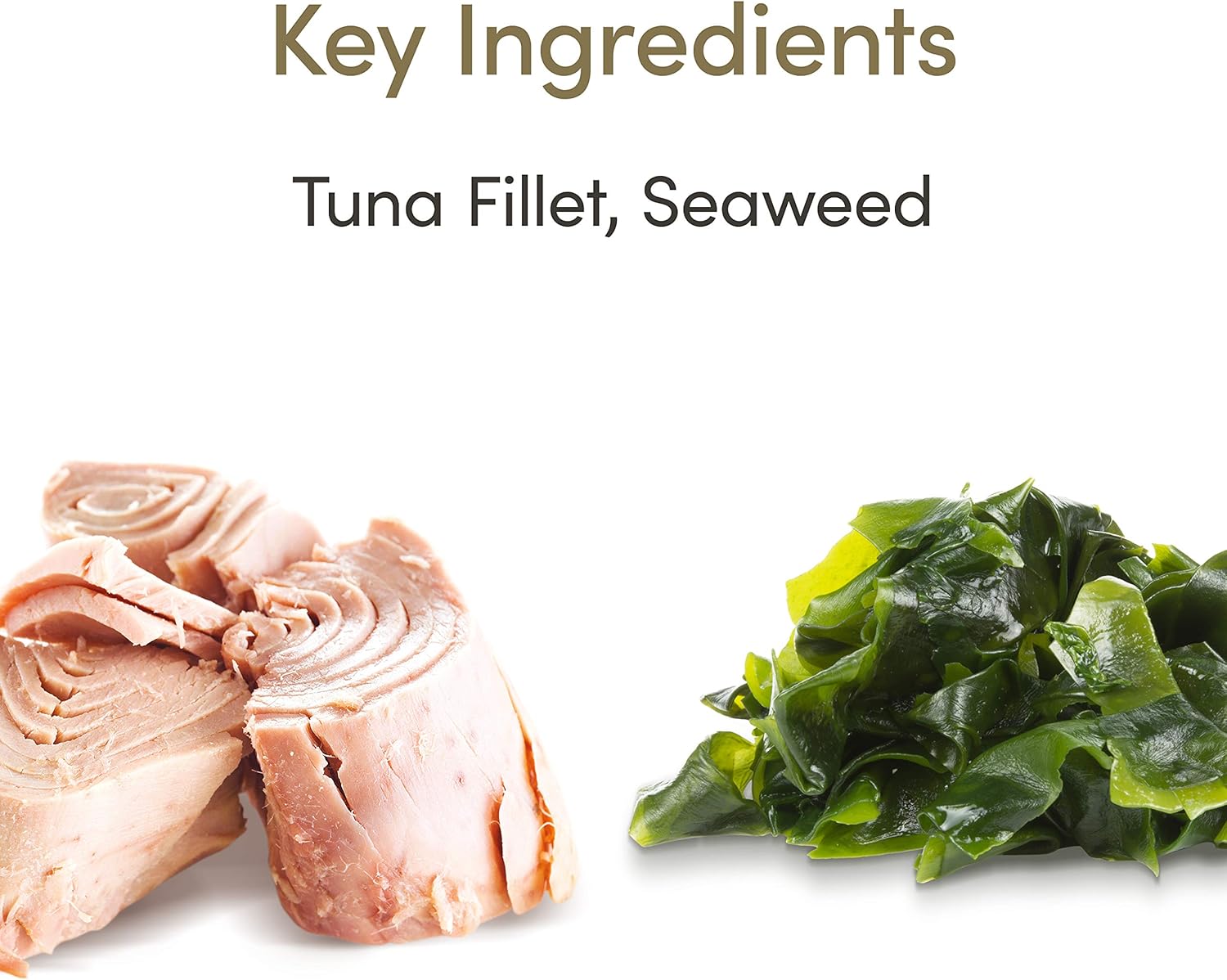 Applaws 100% Natural Wet Cat Food, Tuna Fillet with Seaweed in Tasty Jelly 70 g Tin (Pack of 24 x 70 g), Adult, 70 g (Pack of 24) - Image 5