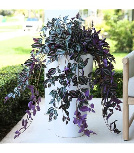 Amazon.com: Nearly Natural 51in. Wandering Jew Artificial Plant in Hanging  Basket (Real Touch) : Home & Kitchen