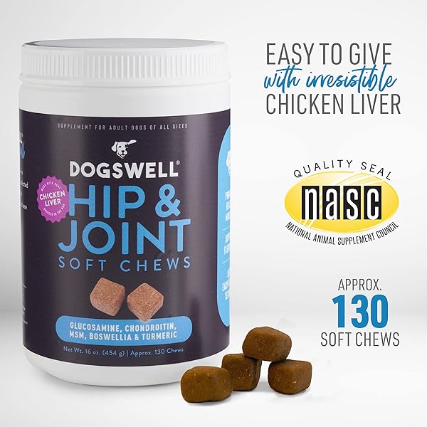 DOGSWELL HIP AND JOINT SUPPLEMENT FOR DOGS – SOFT CHEWS WITH GLUCOSAMINE, CHONDROITIN, MSM, BOSWELLIA & TURMERIC, 1 POUND