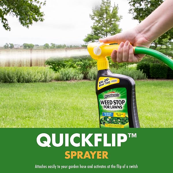 SPECTRACIDE WEED STOP FOR LAWNS CONCENTRATE, READY TO SPRAY, 32 OUNCE, 6 PACK