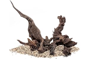 Ultum Nature Systems Driftwood - Malaysian Drift Wood for Fish Tank, Planted Tank, Terriarium, Paludarium - Versatile Natural Driftwood Decor, Events Wood Centerpiece - Malaysian, S 8-12", 3 Pack