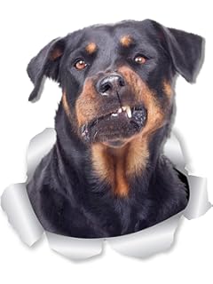 my rottweiler ate your stick family