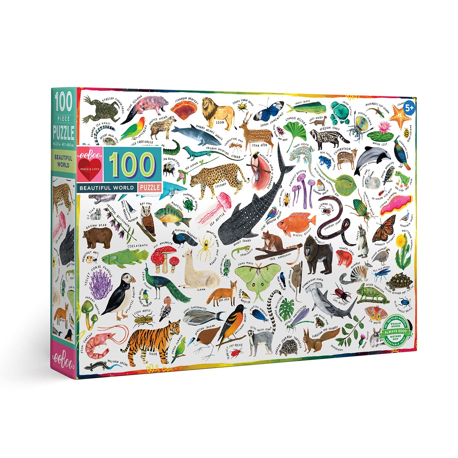 eeBoo Beautiful World 100 Piece Puzzle