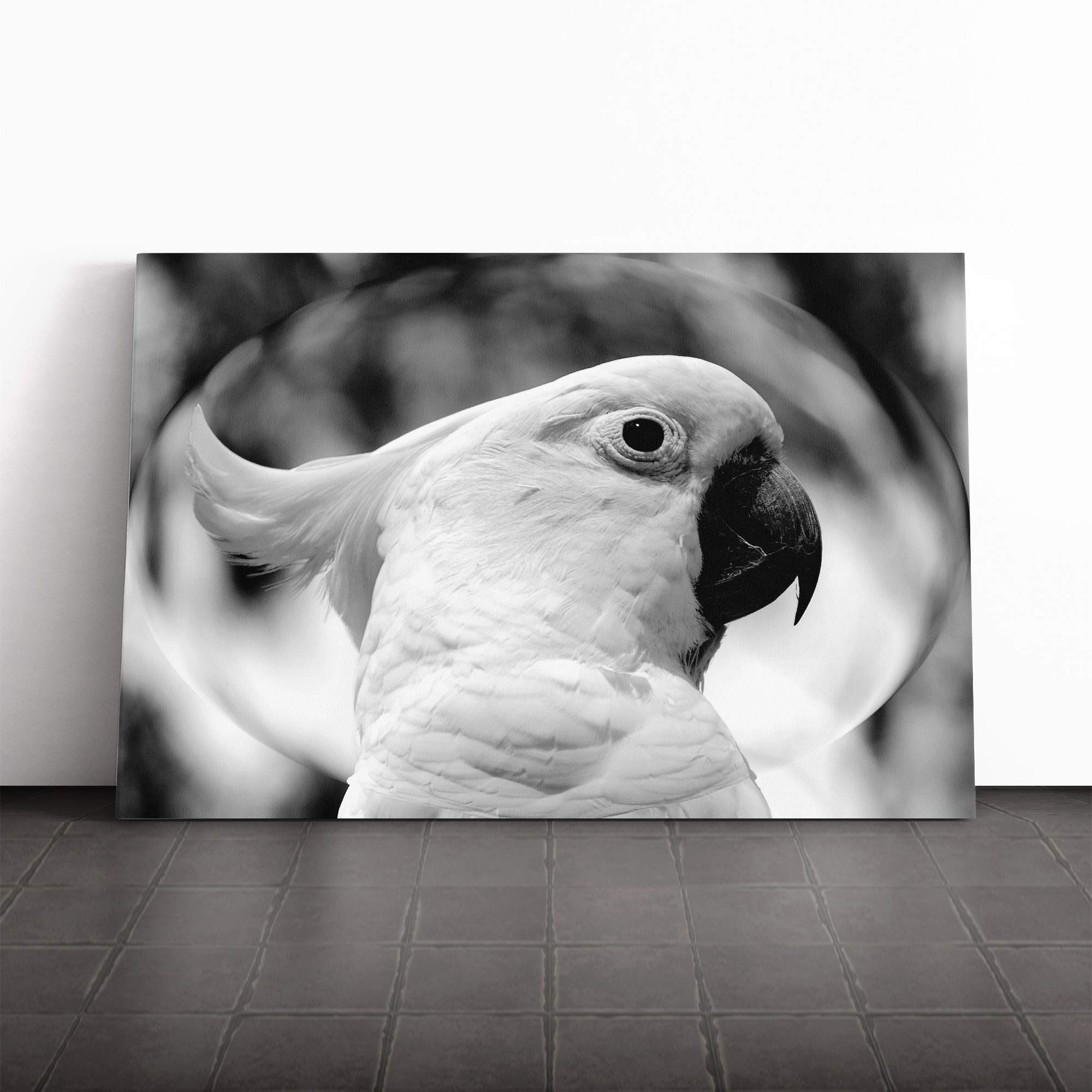Cockatoo Bird (2) Canvas Print | Gallery Wrapped 30mm Frame Wall Art | 20x14 inches | Ready to Hang | Modern Animals Picture | Living Room Bedroom Lounge Office