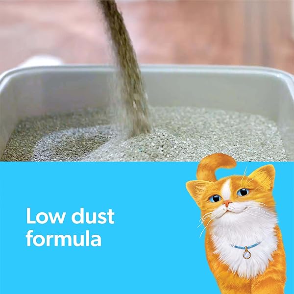 FRESH STEP SIMPLY UNSCENTED CLUMPING LITTER, FRESH STEP UNSCENTED CAT LITTER WITH ACTIVATED CHARCOAL TECHNOLOGY, 14 LB. BOX