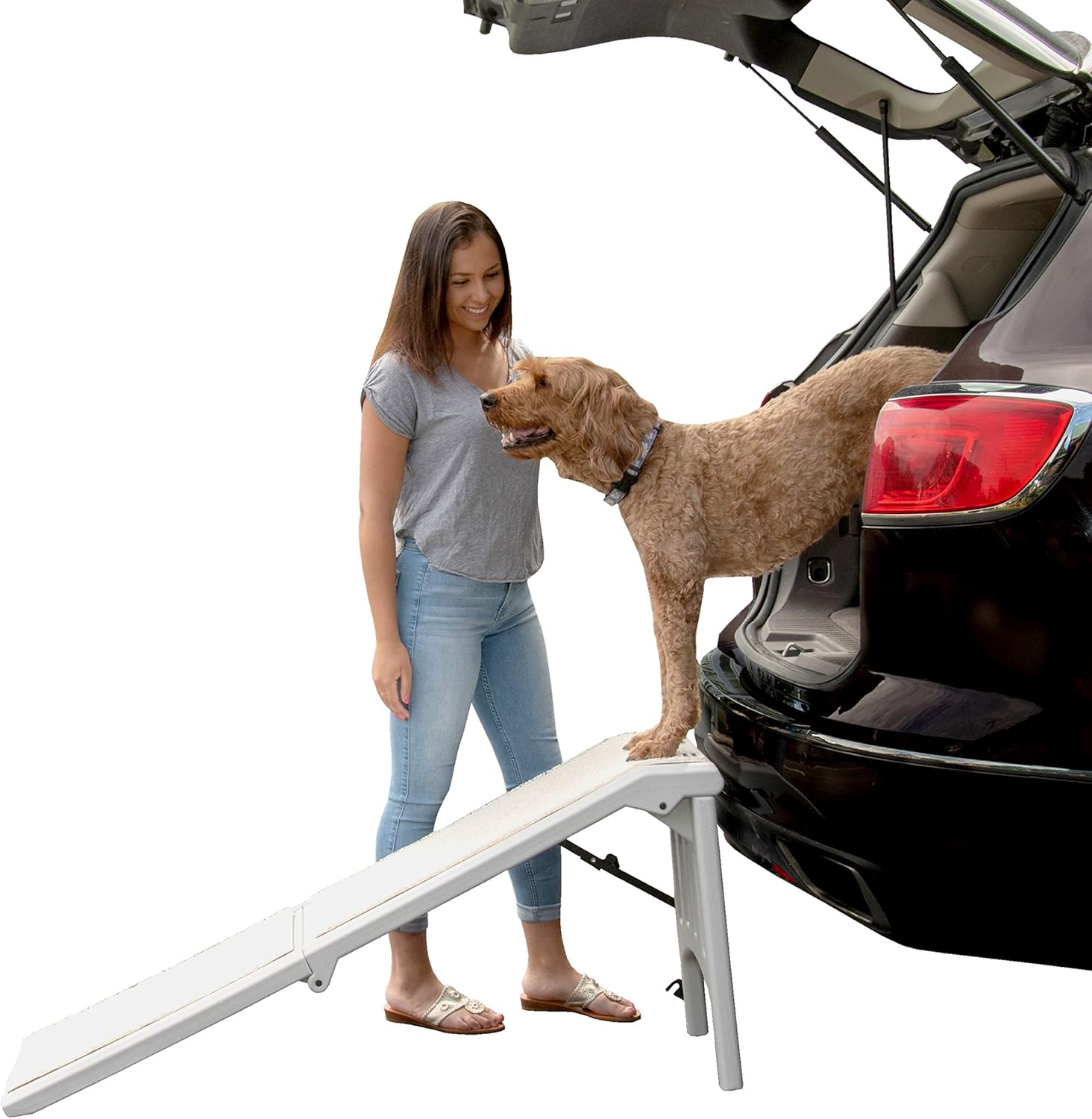 FreeStanding PET RAMP with SUPERTRAX, Essential Grey