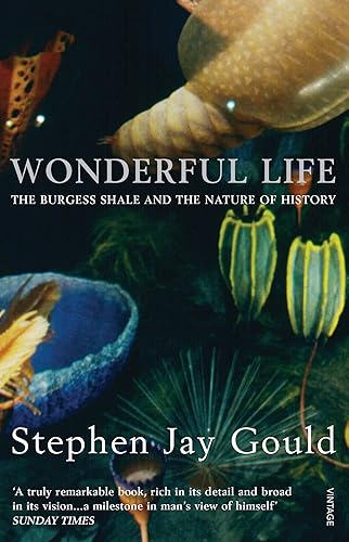 Download Wonderful Life PDF