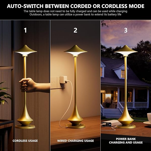 TIMJORMAN MODERN MINIMALIST CORDLESS TABLE LAMP,RECHARGEABLE,ALUMINUM ALLOY BODY FOR LIVING ROOM/BEDROOM/KITCHEN/OUTSIDE (GOLD COLOR 1 PACK)