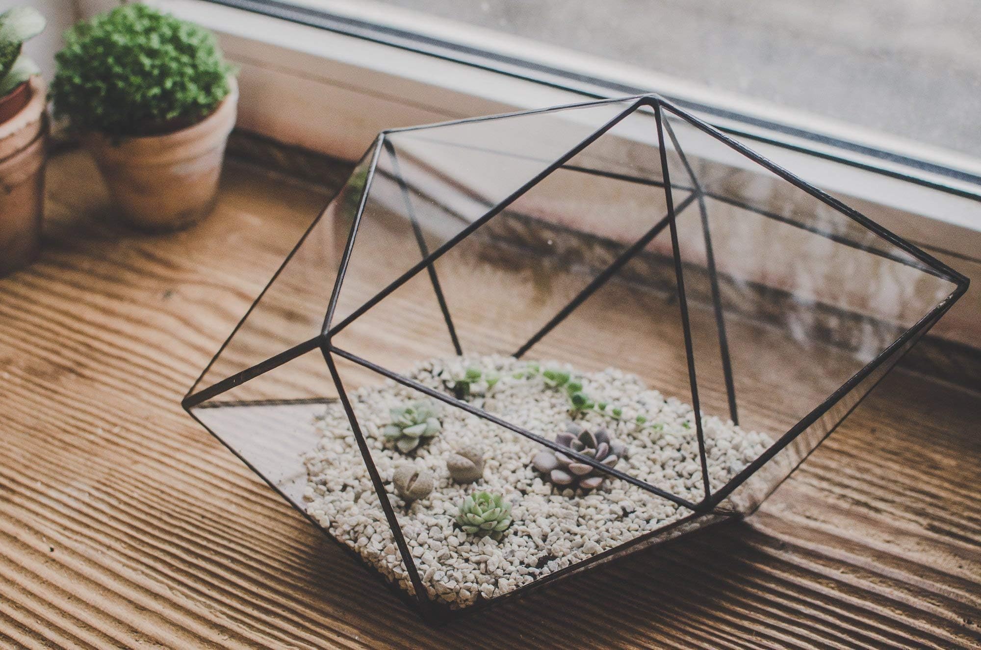 Terrarium Large Strange shape Stained Glass terrarium Succulent Flowerpot Christmas gift