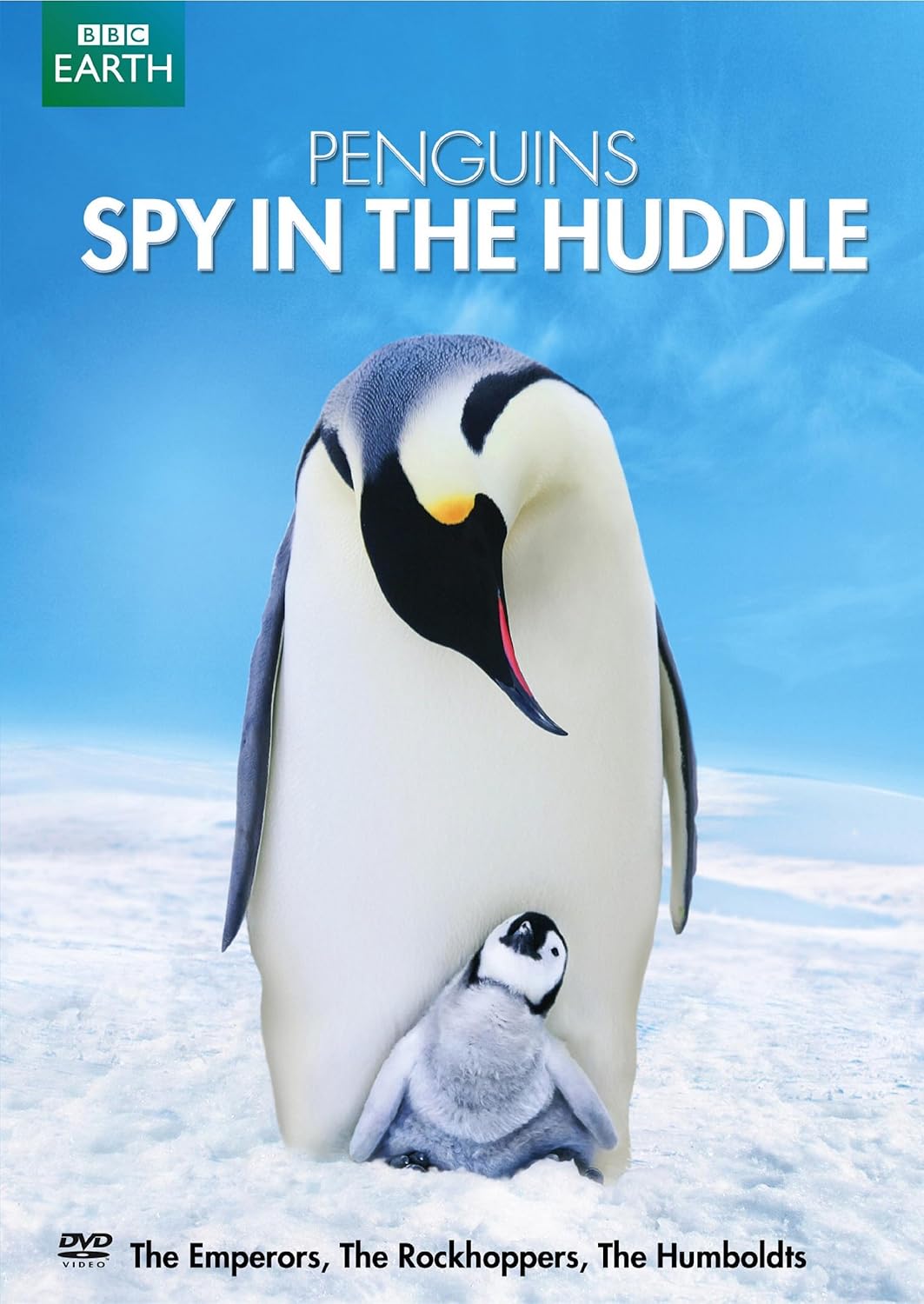 Amazon Com Penguins Spy In The Huddle Various Various Movies Tv Amazon Com Penguins Spy In The Huddle Various Various Movies Tv