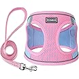 Dog Harness with Leash Set, No Pull Adjustable Reflective Step-in Puppy Pet Vest Harnesses for Small Medium Large Dogs and Cats,Pink Green XXS