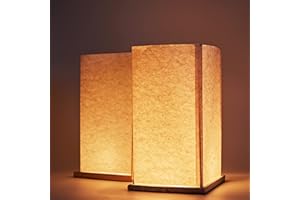 FUELYE 12Pack Floating Lanterns Square Rectangle Sets,Outdoor Lanterns Decorative with Waterproof,Floating Candles for Pool,River,Memorials,Wedding,Bar,and Parties…… (12Rectangular)