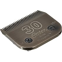 コーリ鋼の短刀 ボーダーレス版 英語　4枚セット FOIL] コーリ鋼の短刀/Cori-Steel Cutter (全面アート版) 【日本