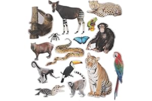 Fun Express Jumbo Realistic Rainforest Cutouts - VBS Vacation Bible School Supplies/Decor - Educational and Learning Activities for Kids - 15 Pieces