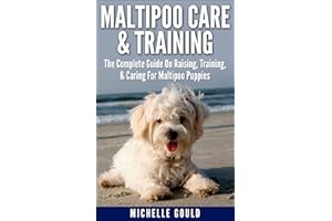 Maltipoo Care & Training: The Complete Guide On Raising, Training, & Caring For Maltipoo Puppies