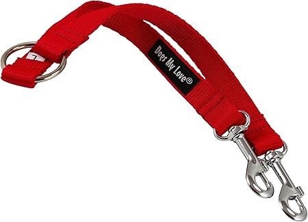 amazon double dog leash