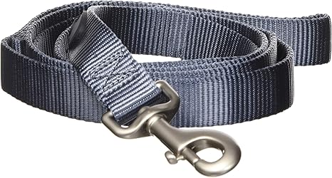 Hamilton dog leash Clearance