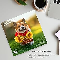 July 2025- December 2026 Wall Calendar 18 Month