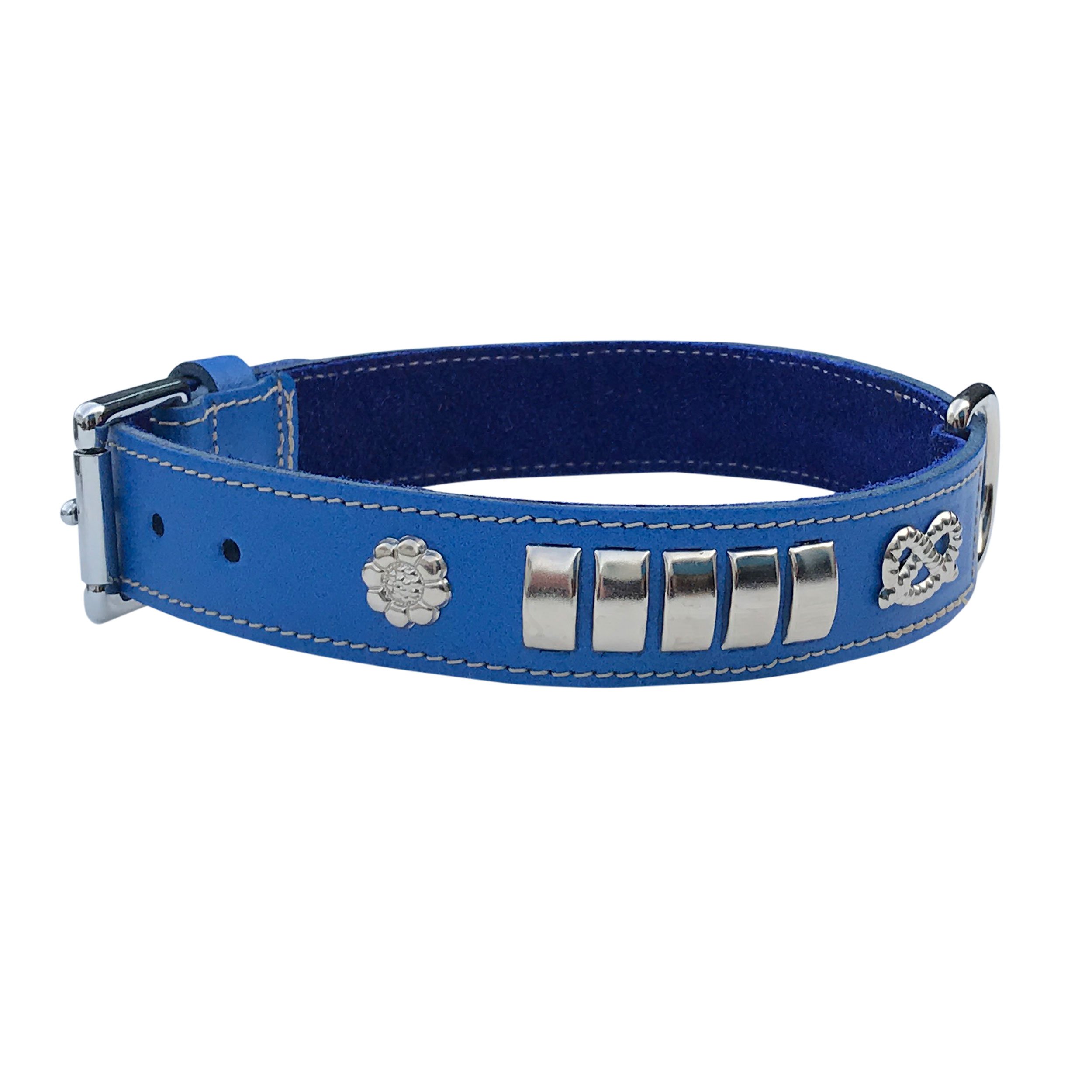 BBD Pet Products Bull Terrier Collar, One Size, 1/4 x 18 to 21-Inch, Royal