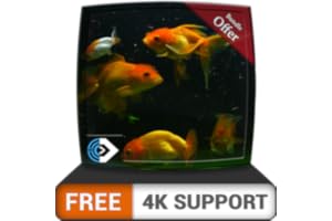 free beautiful aquarium HD - d��corez votre chambre avec un bel aquarium sur votre t��l��viseur HDR 4K, votre t��l��viseur 8K et v