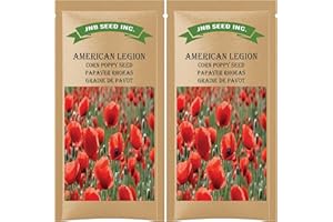 American Legion Flanders Red Poppy Seeds for Planting (Approx. 30,000 Seeds 6 Grams) Vibrant Poppies for Your Garden