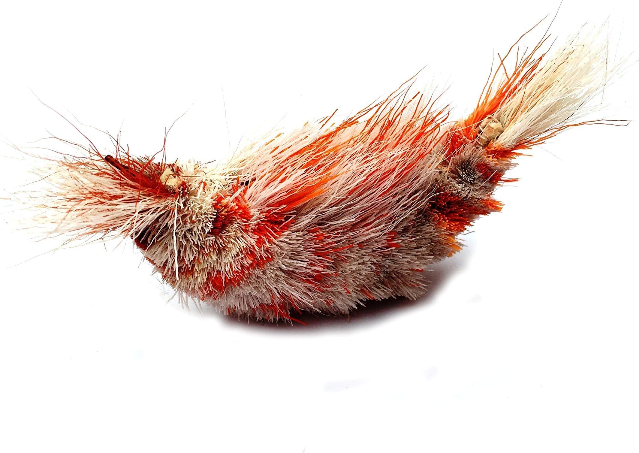 Purrs Shrimp attachment- Fits PurrSuit, Frenzy & DaBird wand Cat Toys
