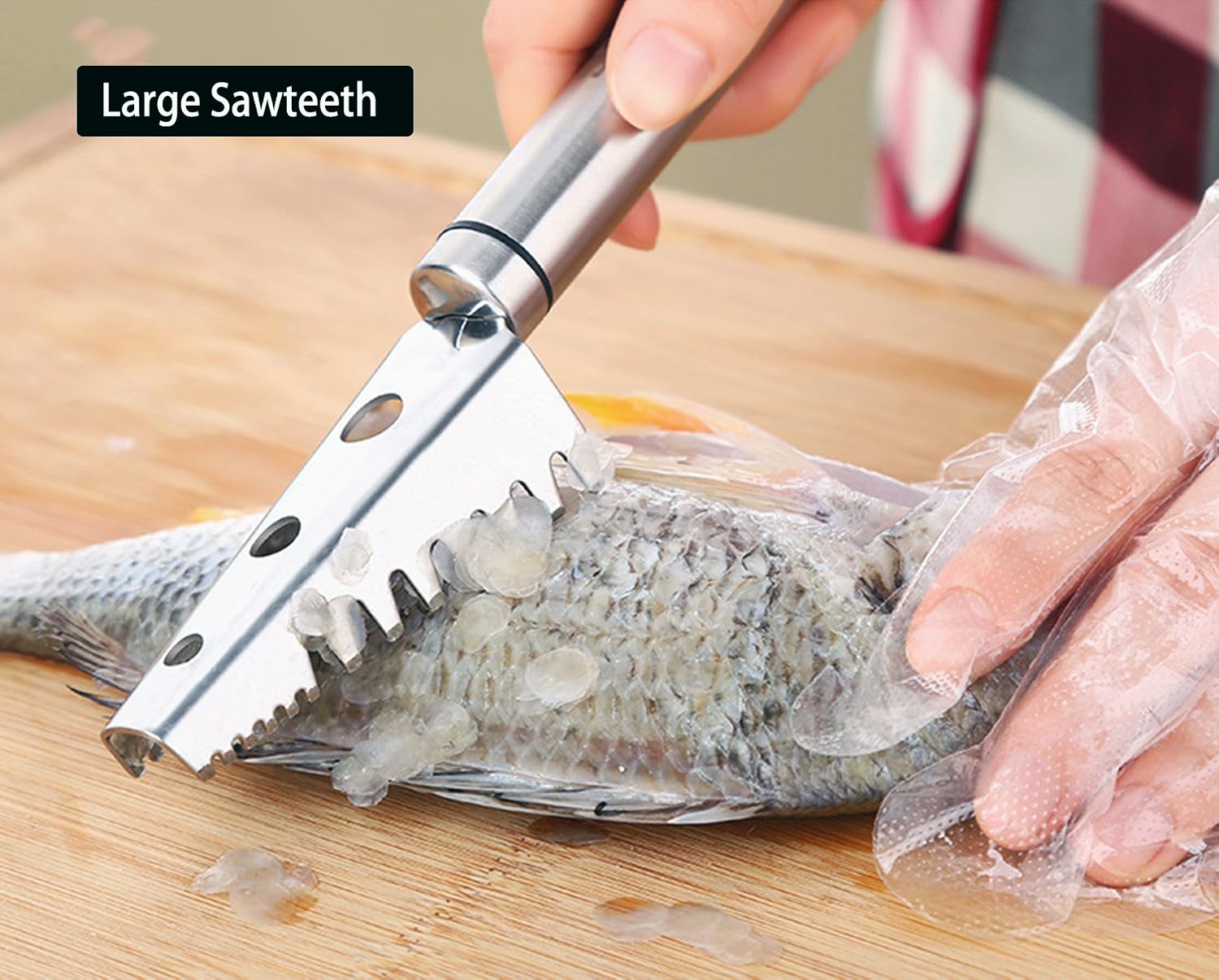 Fish Scaler Stainless Steel Fish Scale Remover (Square Head), Silver, 8 inch Triangular Head - Image 5