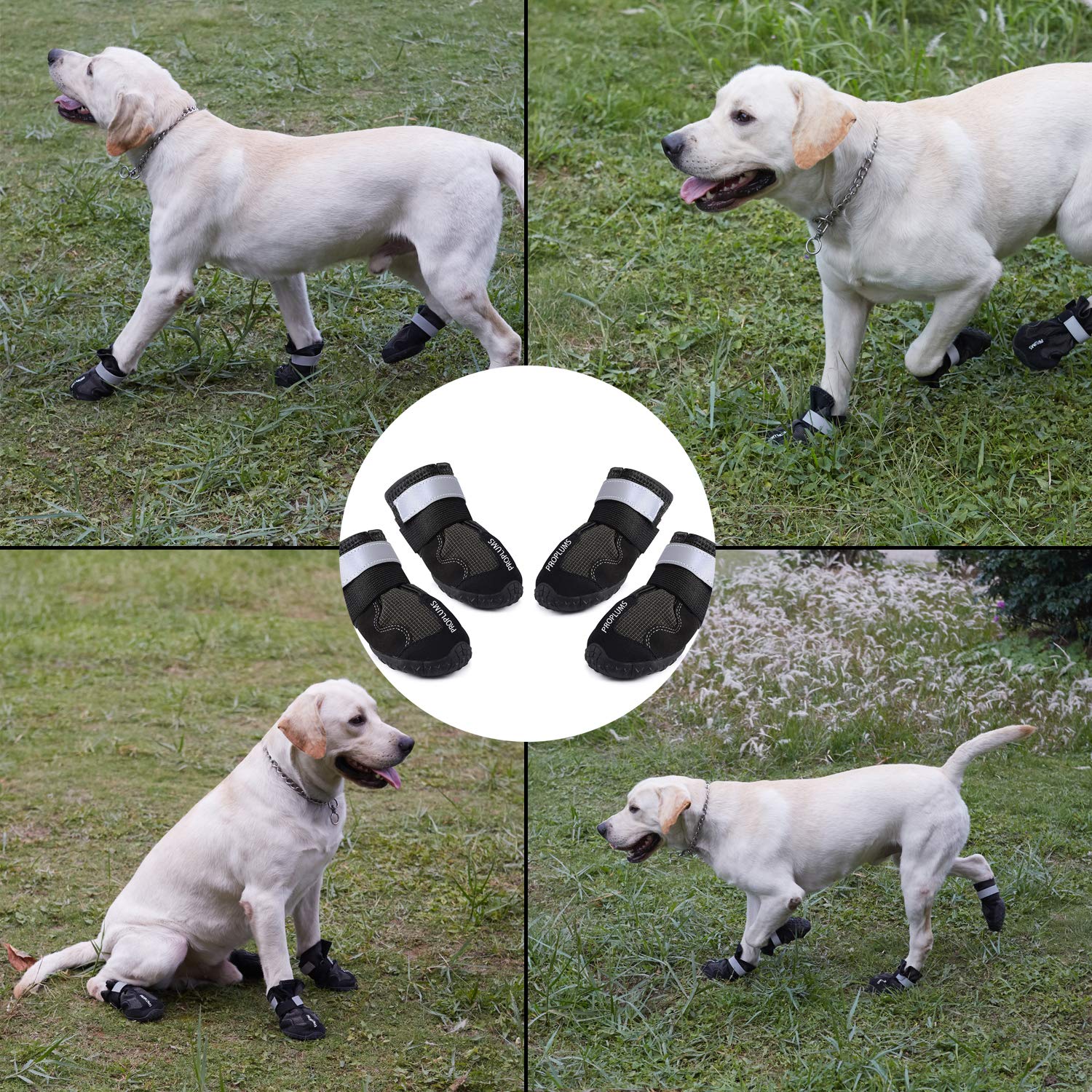 PROPLUMS Dog Boots Waterproof Shoes with Reflective Tape and Wear-Resisting Soles Black Grid Design for Small Medium Large Dogs 4 pcs (Size 8: 3.3\