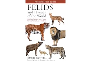 Felids and Hyenas of the World: Wildcats, Panthers, Lynx, Pumas, Ocelots, Caracals, and Relatives