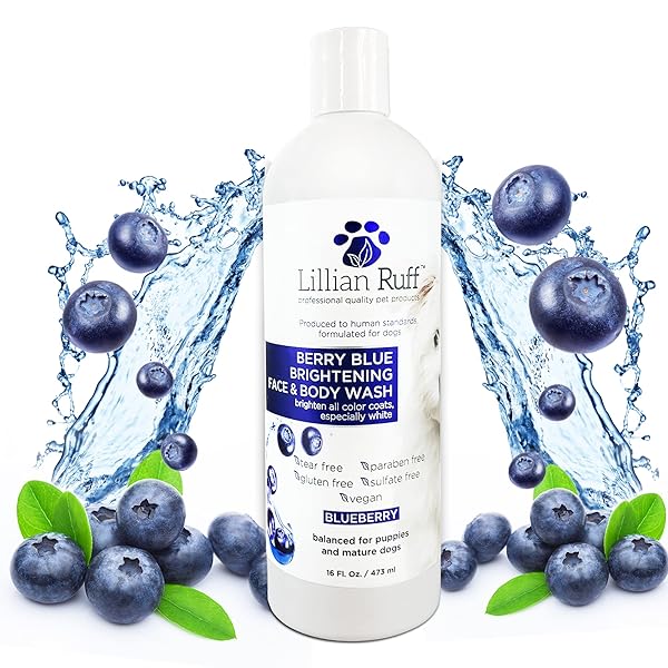 LILLIAN RUFF BERRY BLUE BRIGHTENING FACE AND BODY WASH FOR DOGS – BLUEBERRY SHAMPOO – REMOVE TEAR STAINS, HYDRATE DRY ITCHY SKIN, ADD SHINE & LUSTER TO COATS (BERRY BLUE SHAMPOO 16OZ)