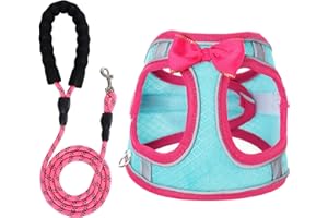 WOCUME Dog Harness with Leash Set, Step-in Breathable Puppy Cat Dog Vest Harnesses, No Pull Adjustable Reflective Puppy Harness with Soft Padded Vest for Extra-Small/Small Medium Large Dogs and Cats