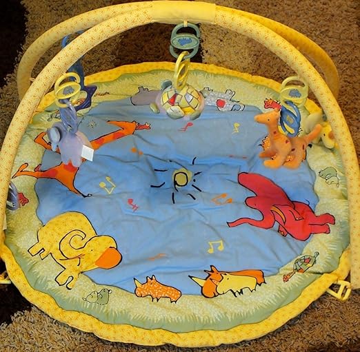 carter's play gym
